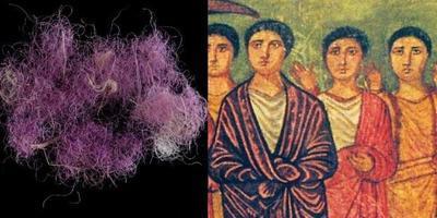 Thumb 8 3000yo true purple fibre