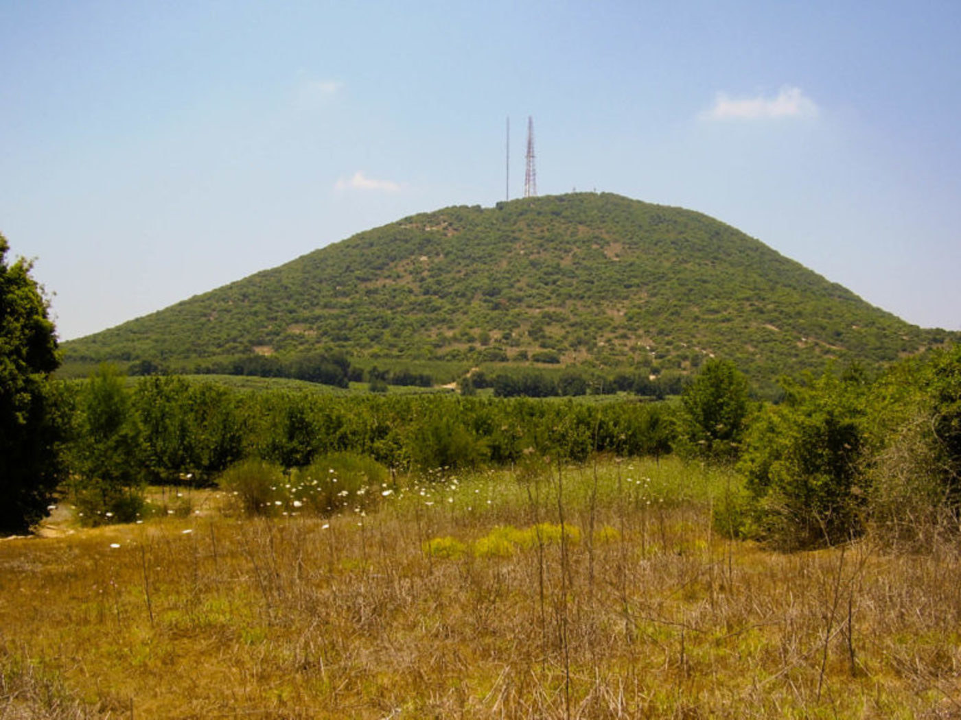 Mt. adir in upper galilee 768x576