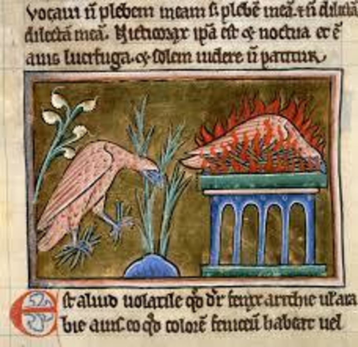 Fenix