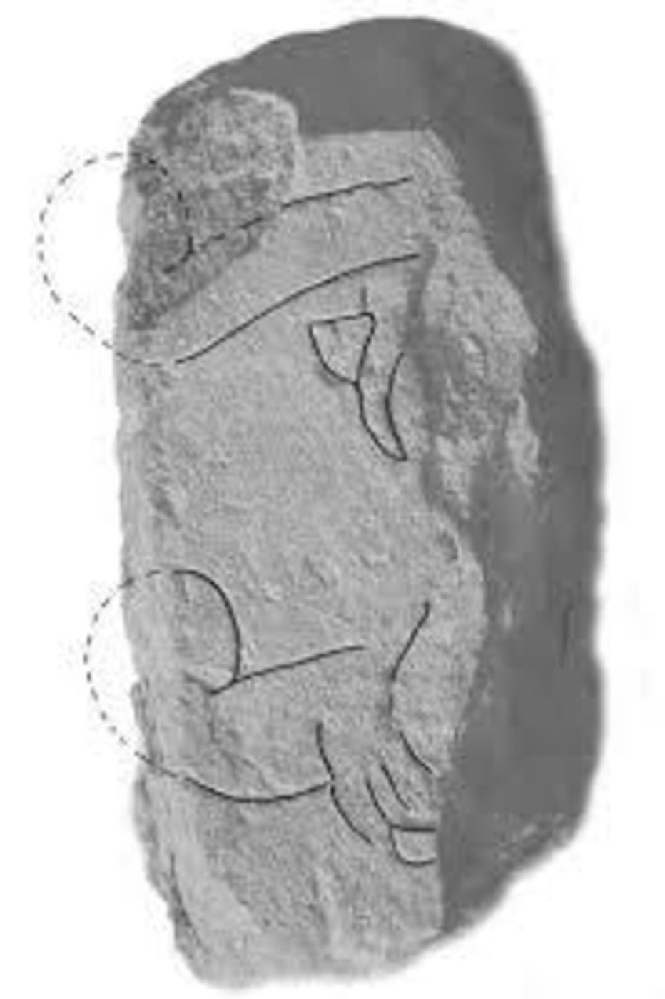 Palata jordan