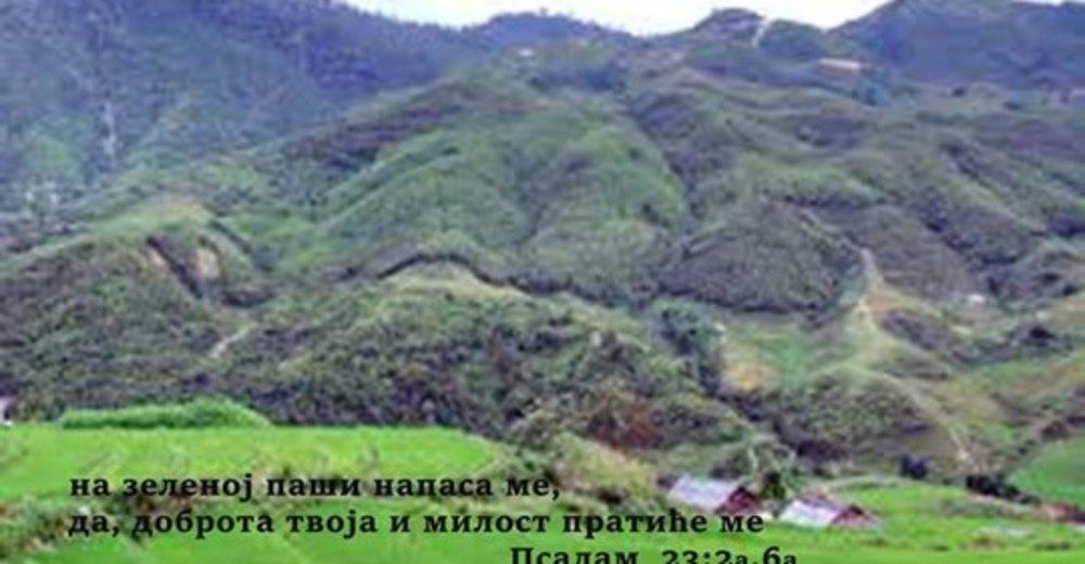 %d0%b7%d0%b5%d0%bb%d0%b5%d0%bd%d0%b0 %d0%bf%d0%b0%d1%88%d0%b0 %d0%bc%d0%b8%d0%bb%d0%be%d1%81%d1%82 %d0%b8 %d0%b4%d0%be%d0%b1%d1%80%d0%be%d1%82%d0%b0